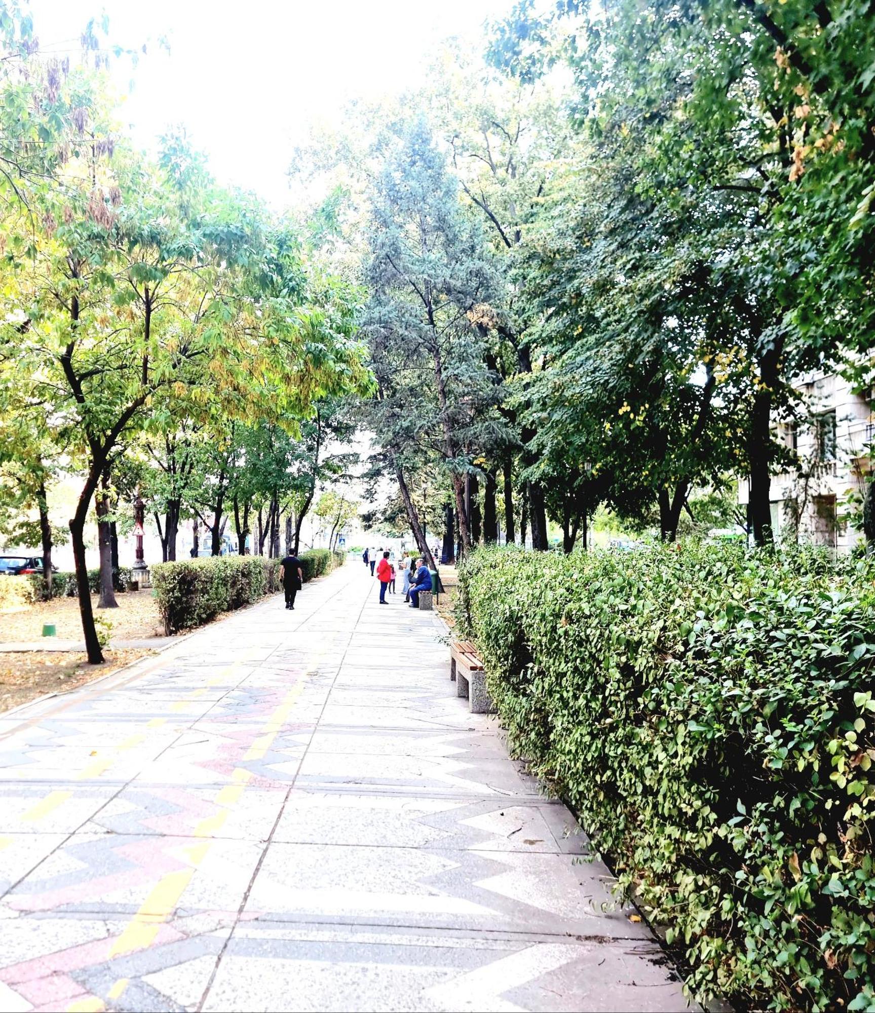 Tranquil Unirii Residence - Elegant & Spacious Living With Parking Steps From Parliament Bukarest Exterior foto